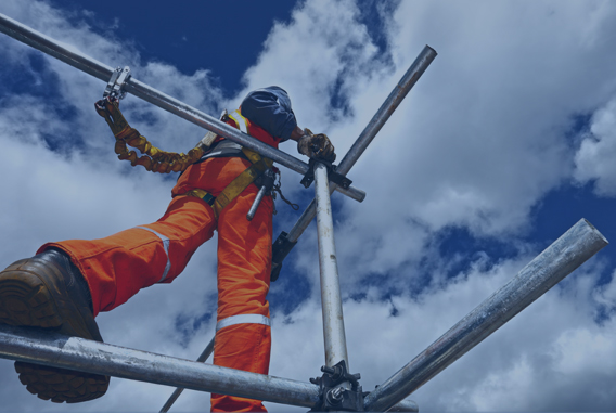 Scaffolding & Roofers